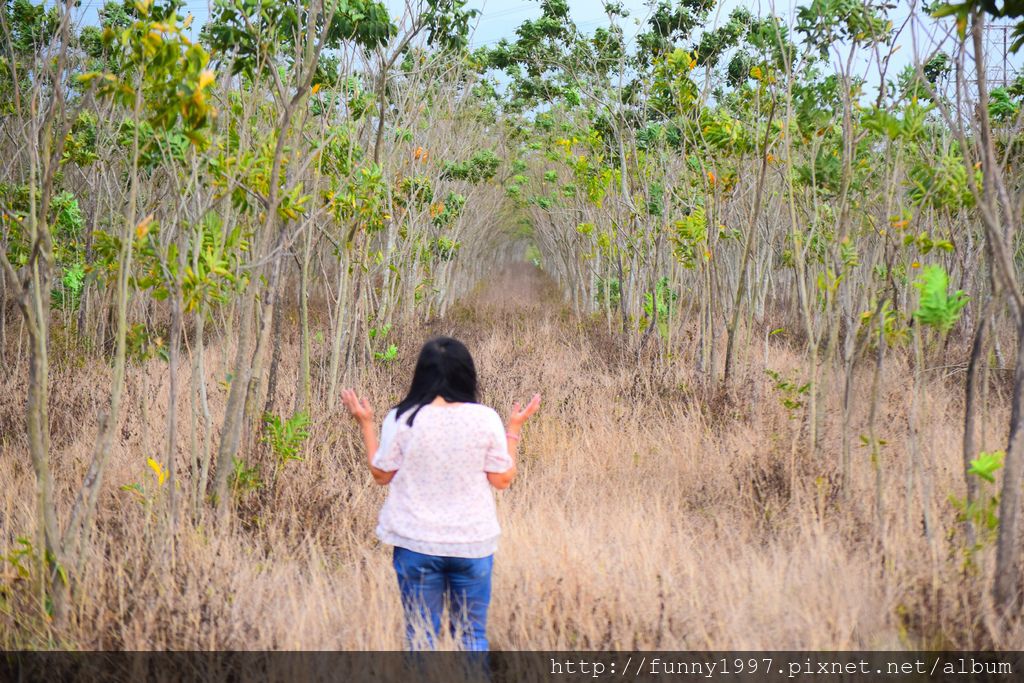 DSC_0550.JPG DSC_0550.JPG