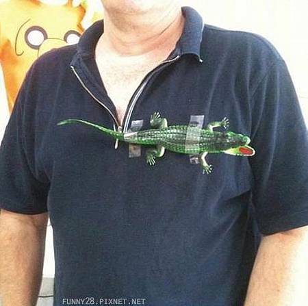 買了件鱷魚的polo衫，求大家品鑑