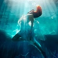 Michael-David-Adams-underwater12.jpg