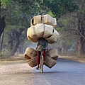 transportation-madness-part2-2.jpg