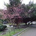 羅東中山公園