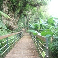 花蓮池南森林步道