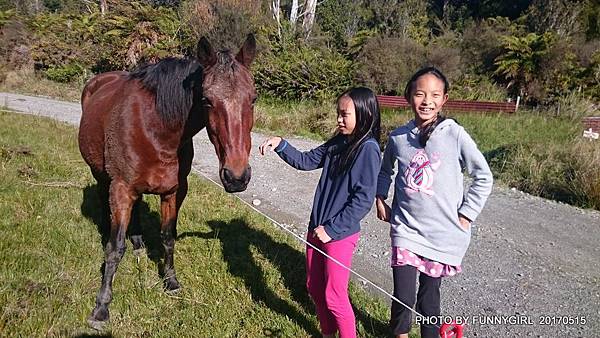 DSC_0041_1 DSC_0041_1
