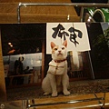 信三郎的貓