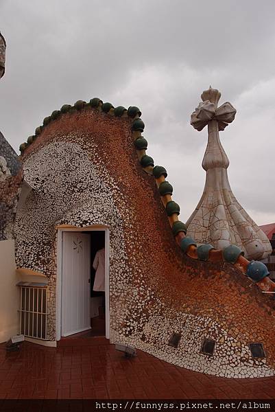 P2241530.JPG