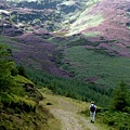 wicklow7.jpg