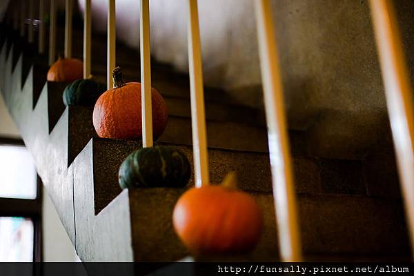 媽媽的裝置藝術- 可愛南瓜