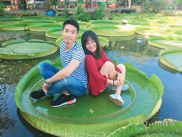 【桃園觀音-康莊蓮園】乘坐大王蓮一起當拇指姑娘♥兩人乘坐也老神在在-Fun閃情旅