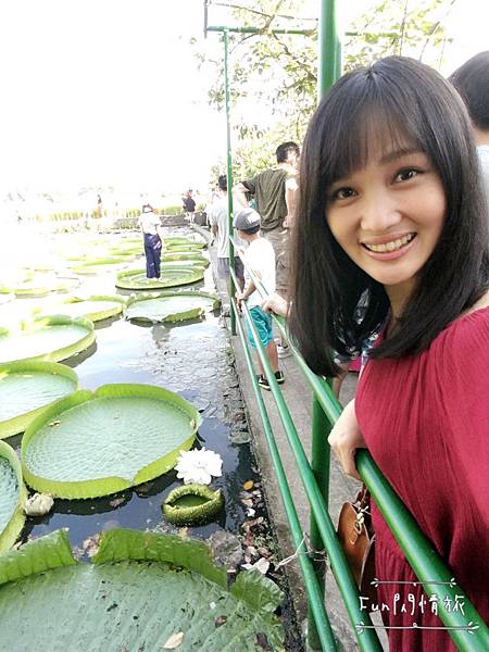 【桃園觀音-康莊蓮園】乘坐大王蓮一起當拇指姑娘♥兩人乘坐也老神在在-Fun閃情旅