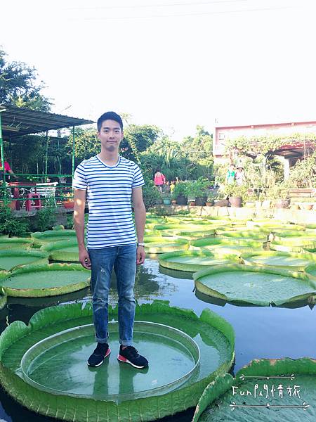 【桃園觀音-康莊蓮園】乘坐大王蓮一起當拇指姑娘♥兩人乘坐也老神在在-Fun閃情旅