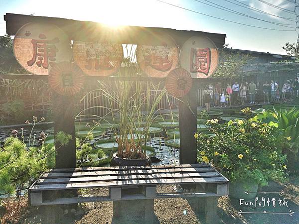 【桃園觀音-康莊蓮園】乘坐大王蓮一起當拇指姑娘♥兩人乘坐也老神在在-Fun閃情旅