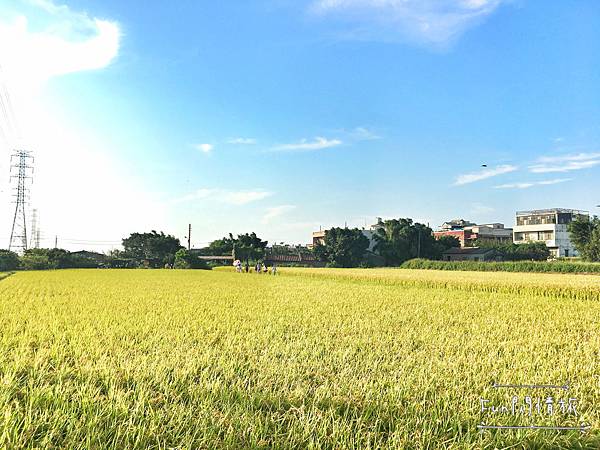 IMG_1866.JPG IMG_1866.JPG