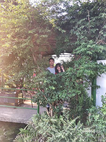 【桃園觀音-康莊蓮園】乘坐大王蓮一起當拇指姑娘♥兩人乘坐也老神在在-Fun閃情旅