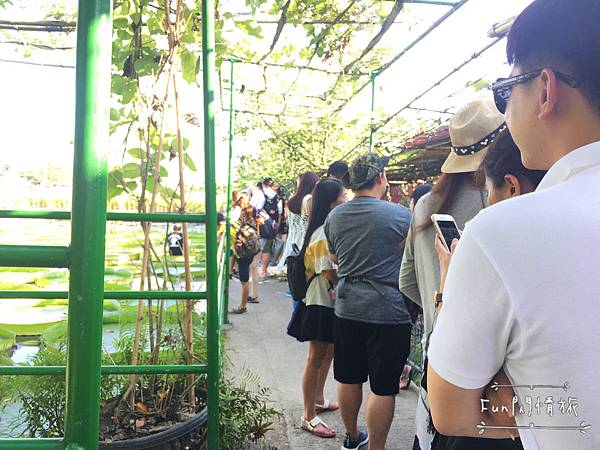 【桃園觀音-康莊蓮園】乘坐大王蓮一起當拇指姑娘♥兩人乘坐也老神在在-Fun閃情旅