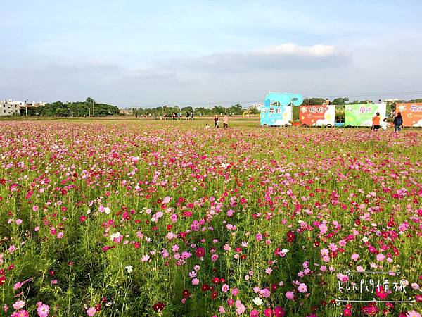 IMG_7522.JPG IMG_7522.JPG