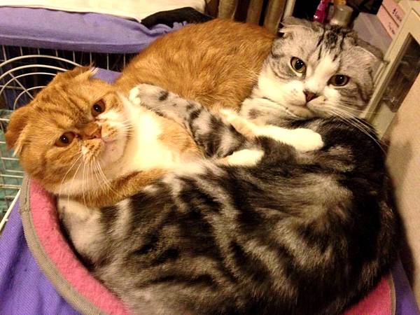 23721911_1480095148704312_472266292_n.jpg 23721911_1480095148704312_472266292_n.jpg