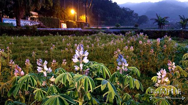 IMAG4349.jpg IMAG4349.jpg