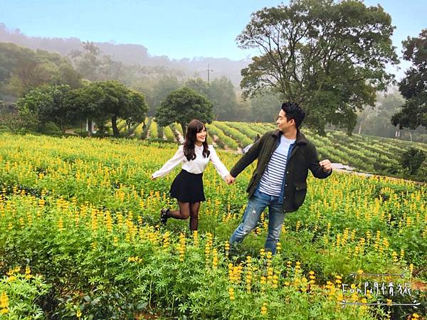 IMG_6289.JPG IMG_6289.JPG