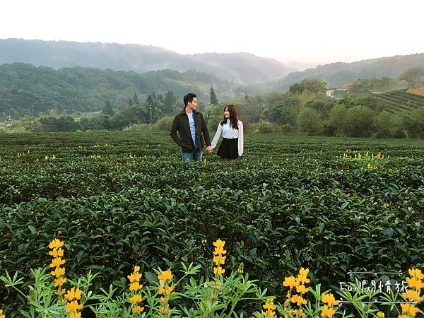 IMG_6790.JPG IMG_6790.JPG