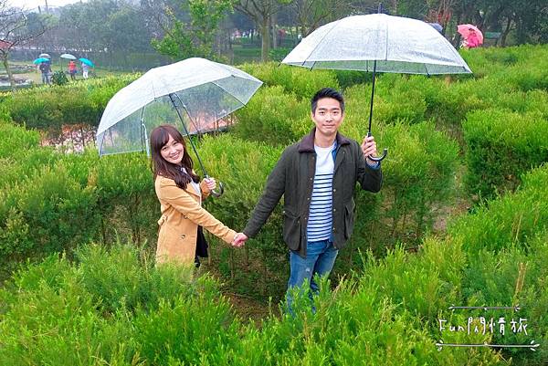 IMG_6811.JPG IMG_6811.JPG