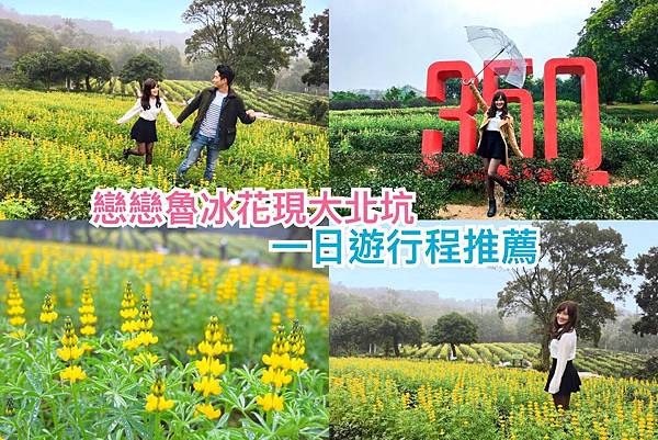 IMG_6893.JPG IMG_6893.JPG