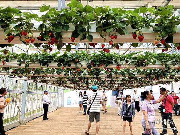 IMG_3919.JPG IMG_3919.JPG