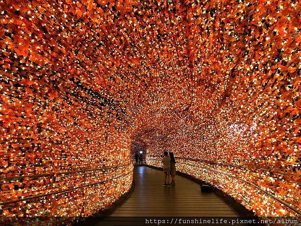 IMG_7797.jpg IMG_7797.jpg