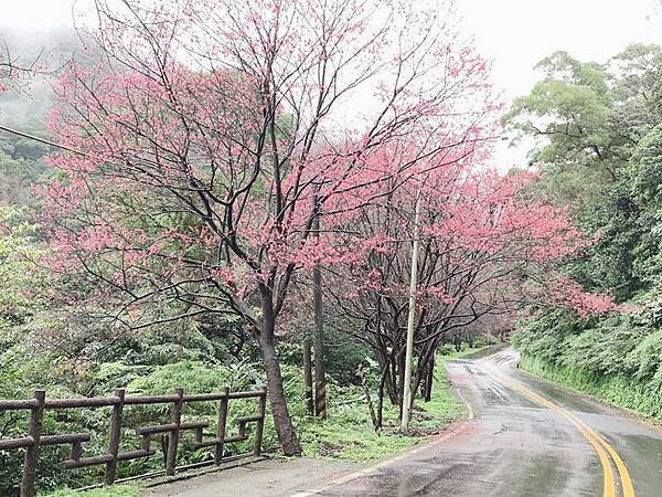 1月27 三芝青山路.jpg