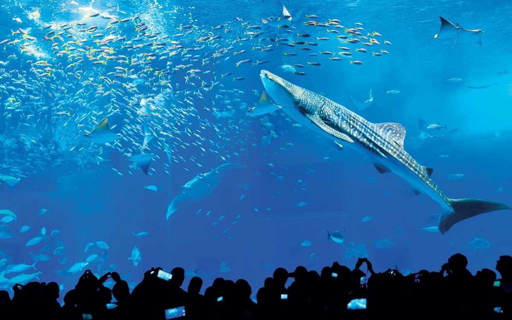 2025沖繩機加酒優惠推薦｜最新沖繩自由行機加酒套裝行程、親