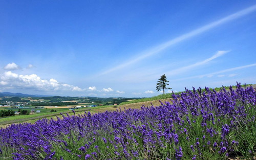 北海道.jpg