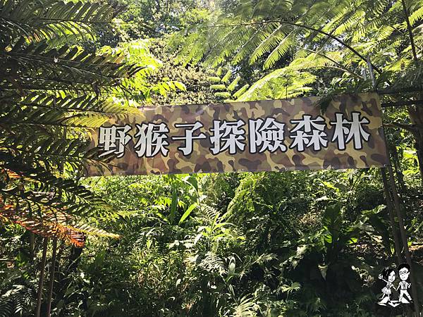 【花蓮│壽豐鄉】花蓮一日泰山傳奇,野猴子探險森林,樹冠層探險,森林樂園探險,壽豐,景點推薦