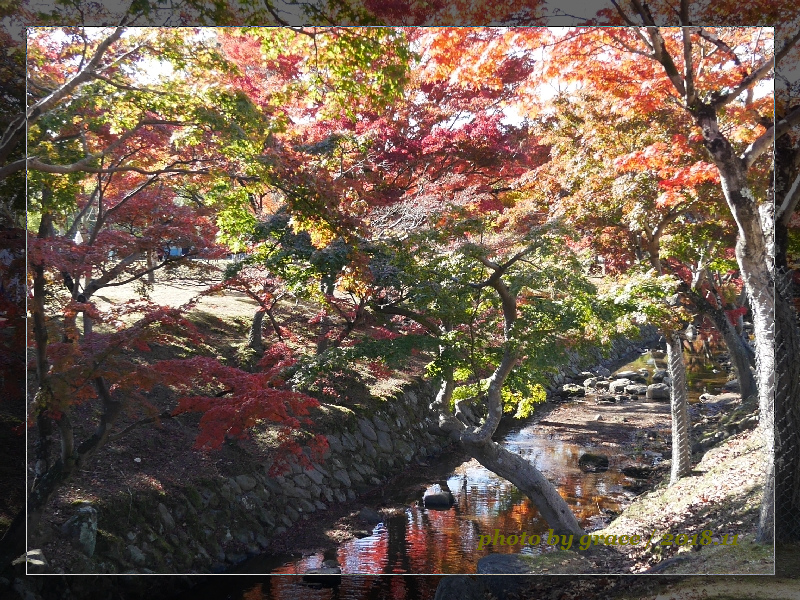 2018京阪神賞楓之旅~去奈良不看鹿而是去找水谷茶屋