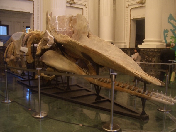 CIMG5080.JPG