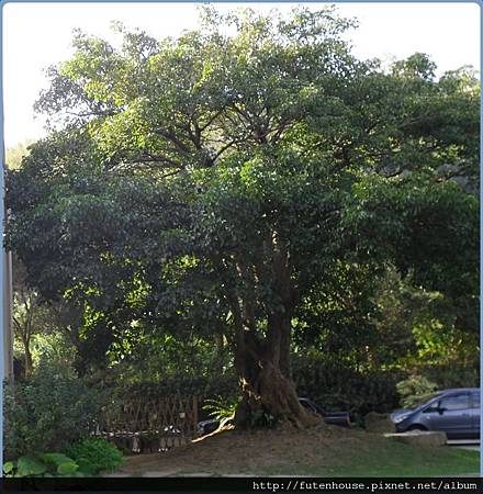 CIMG9969-1.JPG CIMG9969-1.JPG