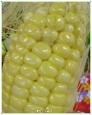 CIMG2286-2 CIMG2286-2