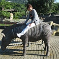 動物園 052.jpg