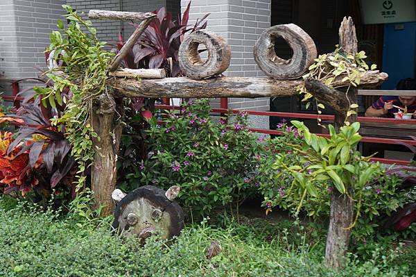 【台北│動物園站│我在畢業的前一天玩遍台北 (•‾⌣‾•)】在台北待了快五年，第一次去木柵動物園被動物看心得分享♡圓仔好療癒～