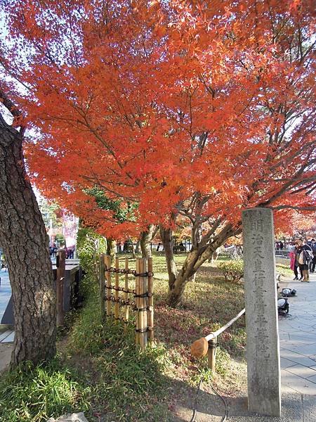 【日本│京都】抹茶的故鄉，日本10円硬幣的真實場景，世界遺產─平等院+伊藤久右衛門吃抹茶聖代