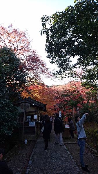 【京都│嵐山】賞楓推薦景點：京都嵐山，人生第一次賞楓去，您要