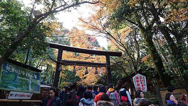 【京都│嵐山】賞楓推薦景點：京都嵐山，人生第一次賞楓去，您要