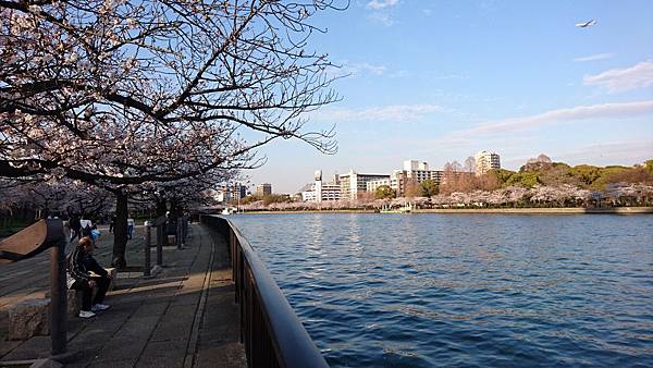 【WH│大阪】2018年造幣局櫻花季花開盛況