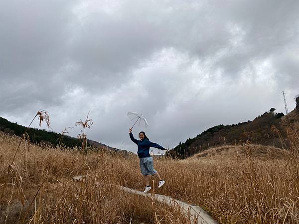 【兵庫│加西】秋天限定！兵庫賞銀杏、看芒草首選景點