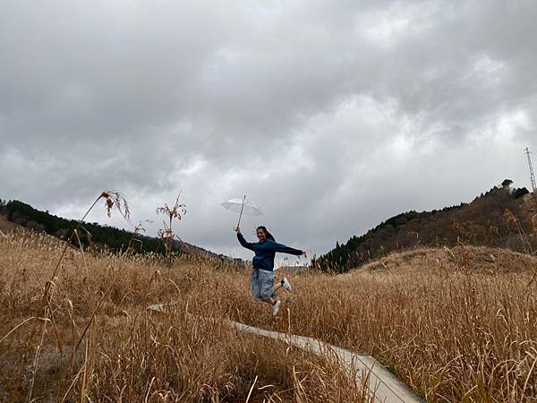 【兵庫│加西】秋天限定！兵庫賞銀杏、看芒草首選景點