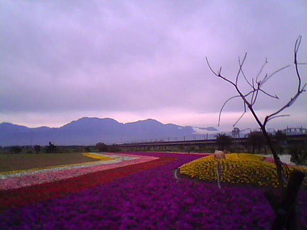 20110116舊鐵橋風情 059.jpg