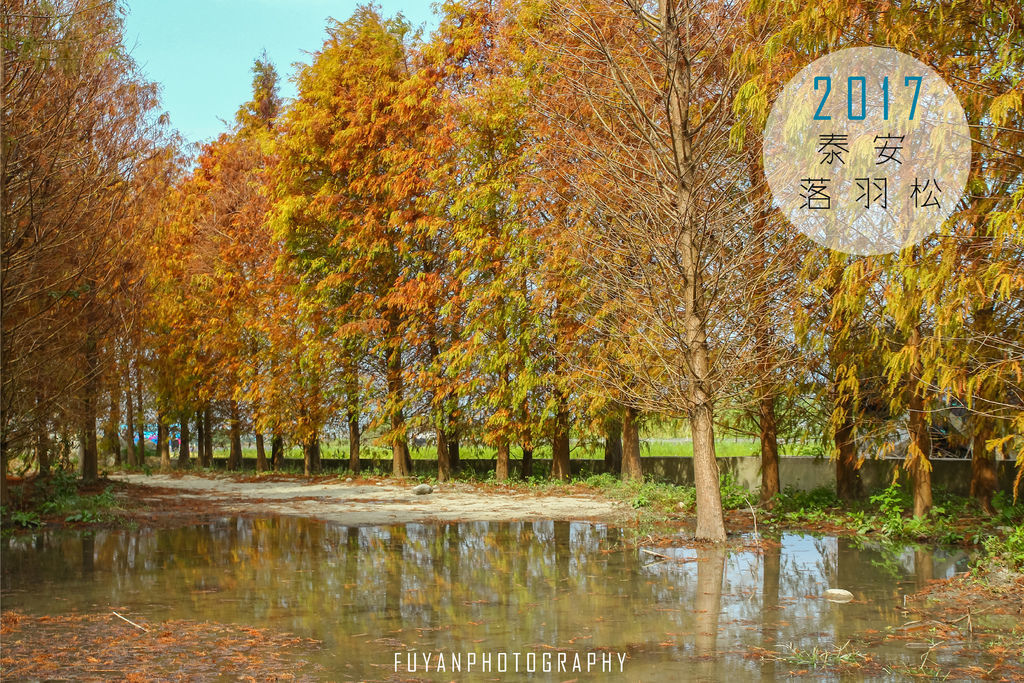 IMG_0554-01 IMG_0554-01