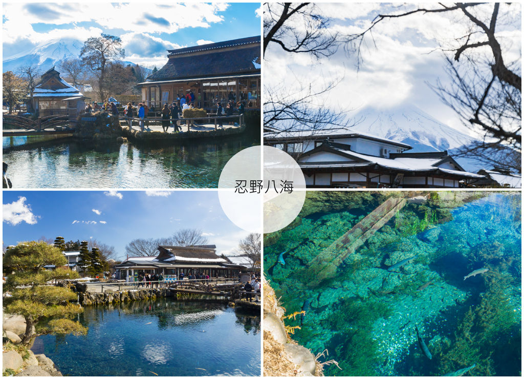 忍野組合 忍野組合