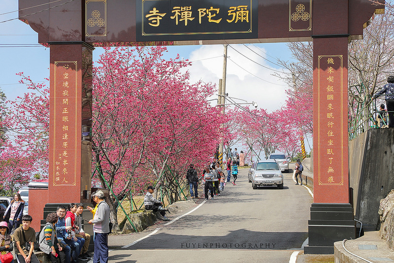 彌陀禪寺34