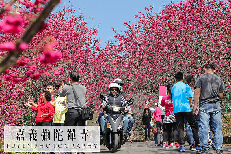 彌陀禪寺27