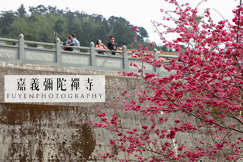 彌陀禪寺19