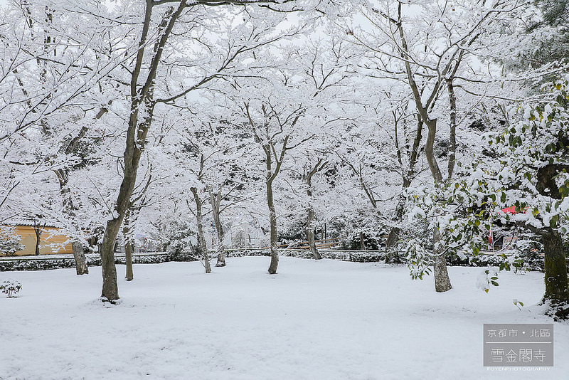 雪金閣8